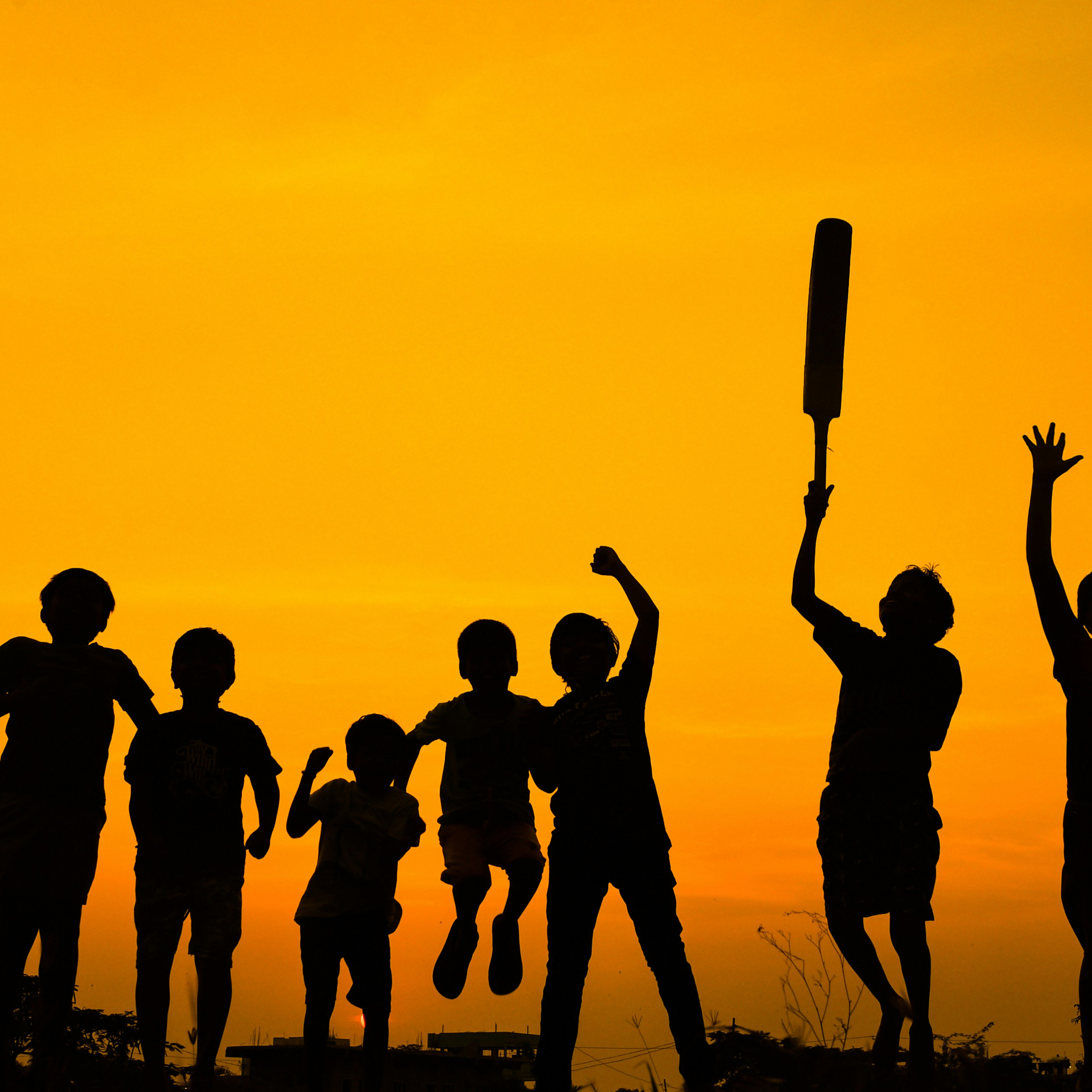 The Midlife Innings: Why We Still Play Cricket episode artwork