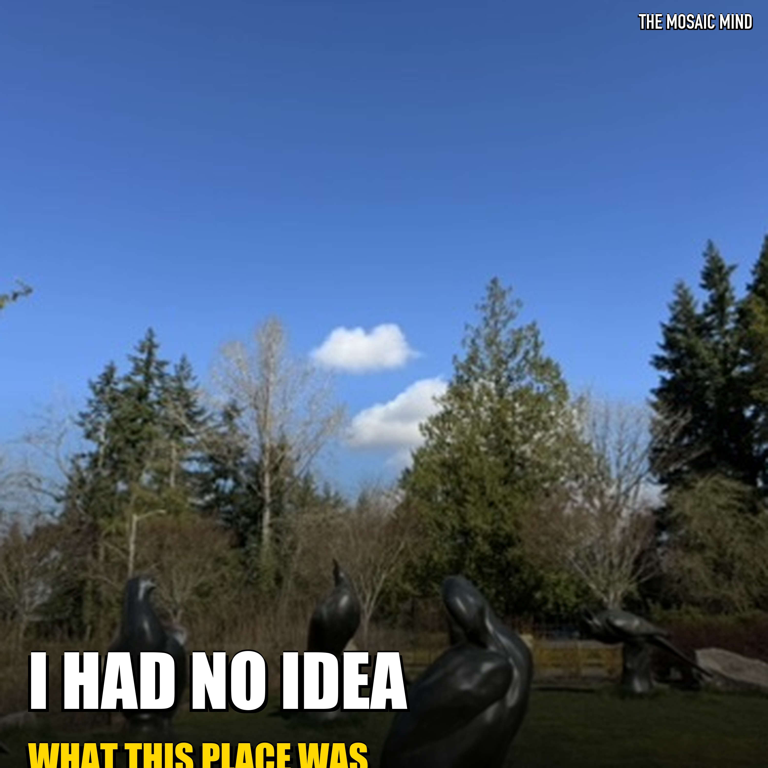 The Garden That 400 People Built episode artwork