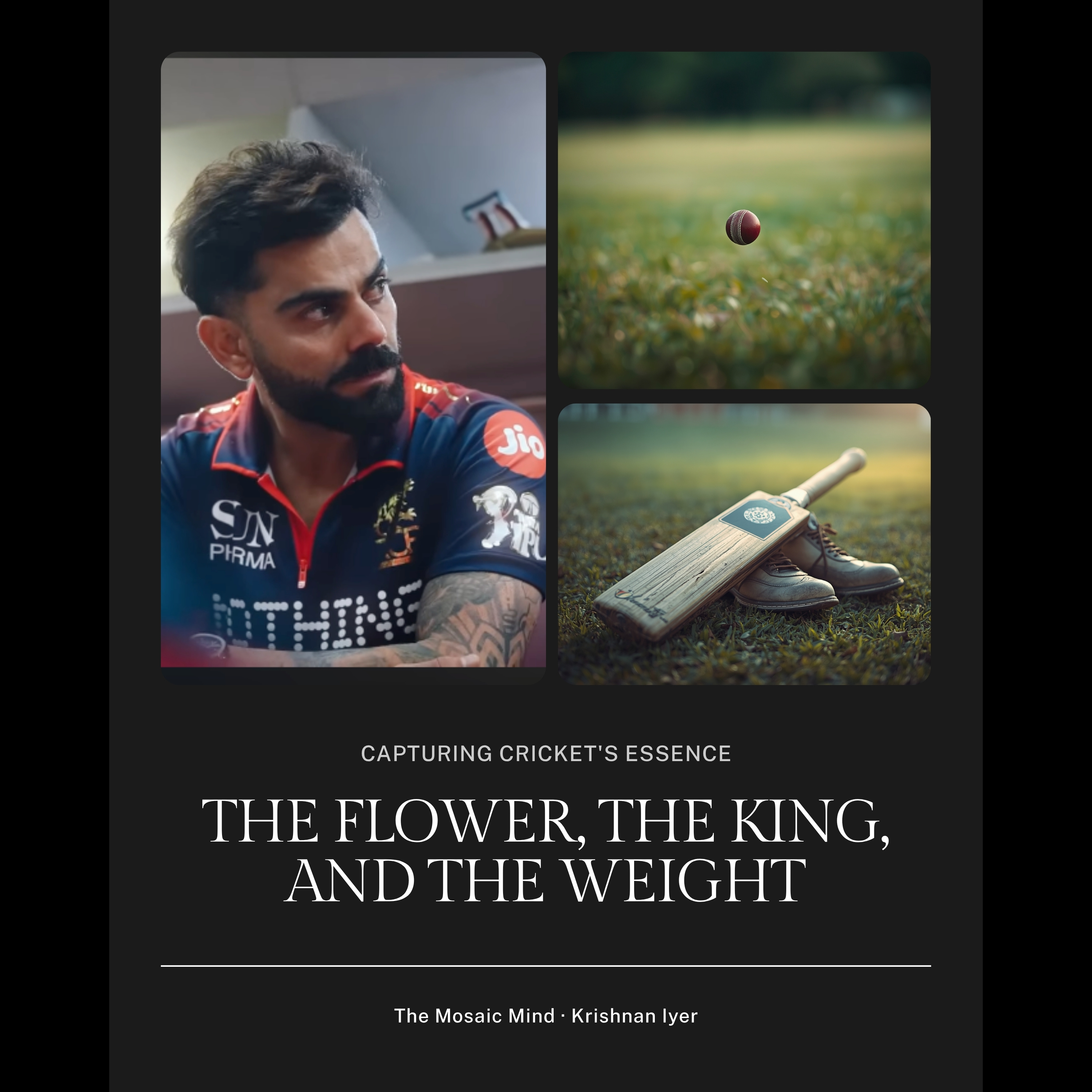 The Flower, the King, and the Weight Every Gully Cricket Kid Carries episode artwork
